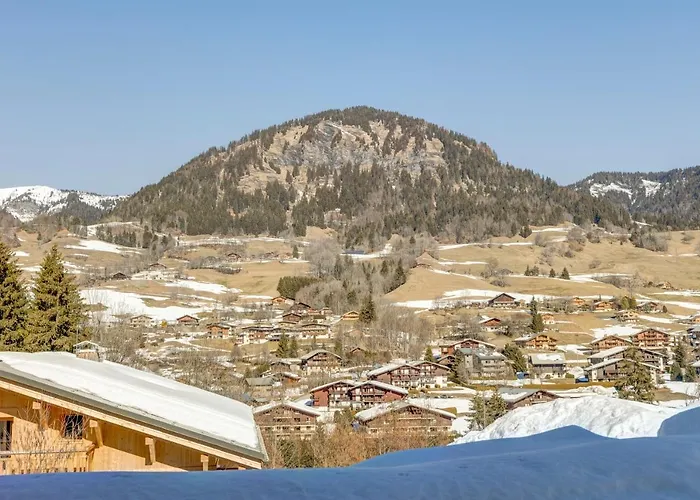 Les Nards Lejlighed Praz-sur-Arly
